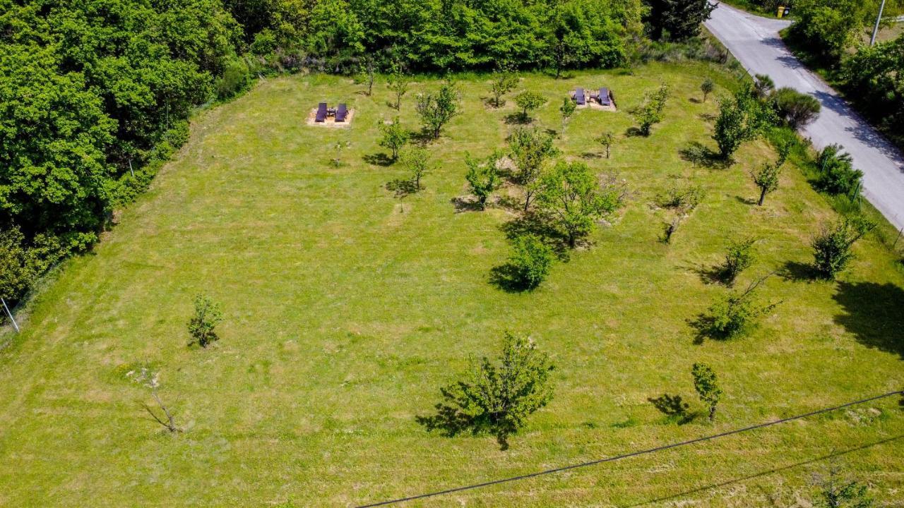 Active Chillax Oasis *