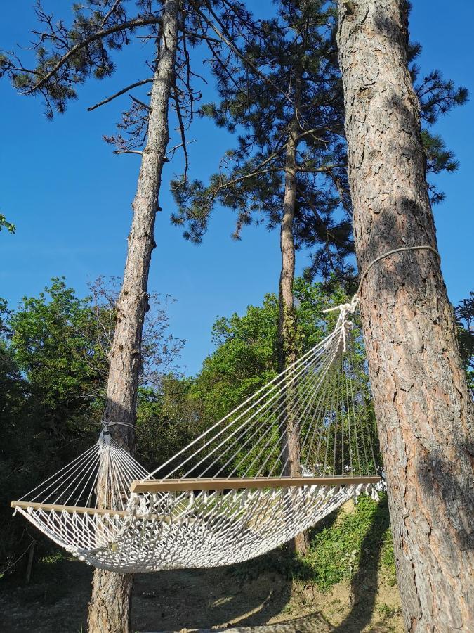 Active Chillax Oasis