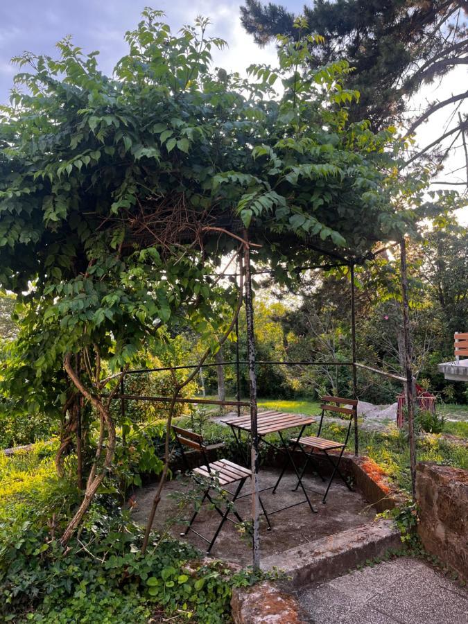 Active Chillax Oasis